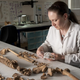 Image for article titled The Slow Process of Proving That You've Found a Mass Grave
